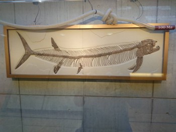 Reino de España - DSC_0470.JPG