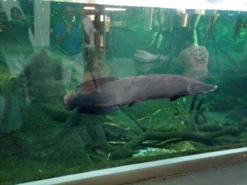 Reino de España - P90802-191632.jpg