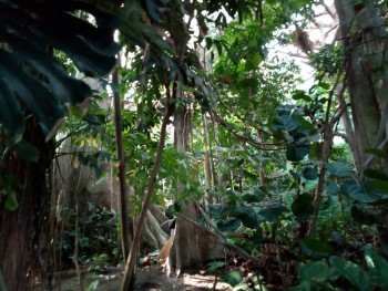 Reino de España - P90802-192928.jpg