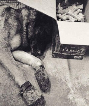 Интересное в интернете - 68962708_466821180826282_949556701516791808_n.jpg