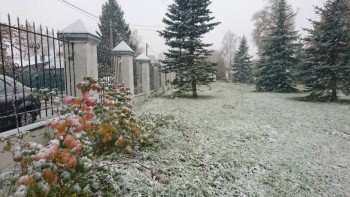 Каждая погода - благодать... - DSC_5755.JPG