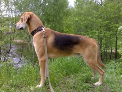 Здесь совсем молодой.