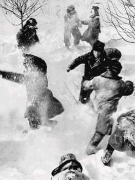 Из забытья... - FB_IMG_15735546852074704.jpg