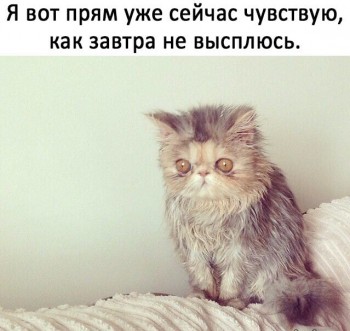 Посиделки - 69767655_3315058125233921_1507476088593317888_n.jpg