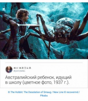 Бр-р-р-р... Насекомые всякие - _20191202_101355.JPG