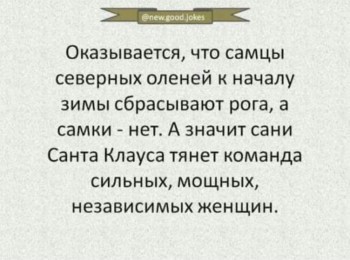 Правда жизни - 81418911_3337103932983175_6567224880729686016_o.jpg