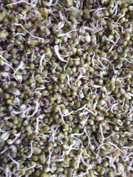 Питаемся правильно советы специалистов  - 20200102_102813[1].jpg