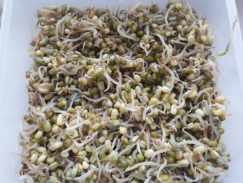 Питаемся правильно советы специалистов  - 20200102_123802[1].jpg