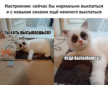 Правда жизни - 82475425_648109572597625_7425657906827100160_n.jpg