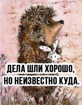 Ёжики, ежи, ежата - 83192371_920481698382270_8564137210238992384_n.jpg