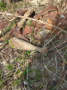 Событие местного значения - IMG-20200327-WA0004.jpg