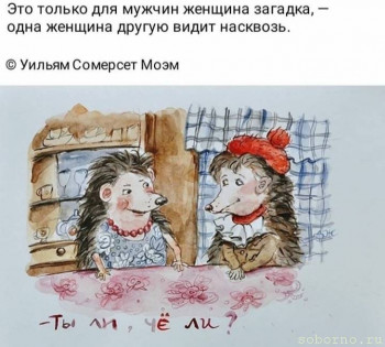 Ёжики, ежи, ежата - 20200610_032125.jpg