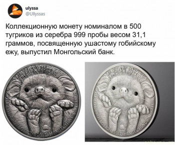 Ёжики, ежи, ежата - lLK4mjgRybs.jpg