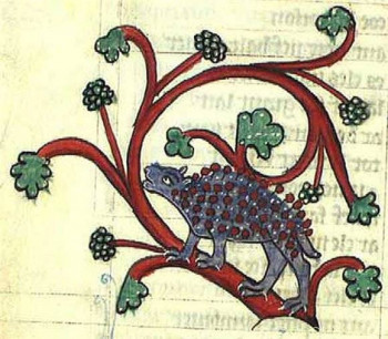 Ёжики, ежи, ежата - mYv2rbXN7Oc.jpg