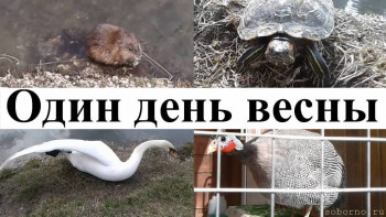 Зоопарк - 1.jpg