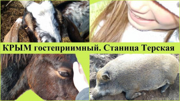 Рога и копыта, весёлая ЗоОфЛуДиЛьНя  - 1.jpg