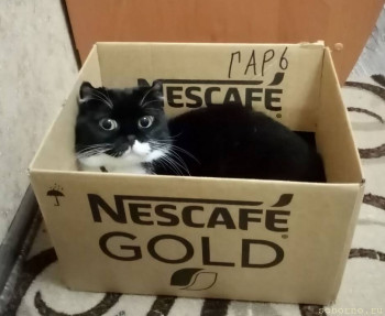 Буся. 4 года