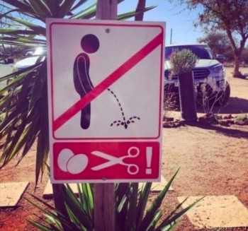  Веселые картинки  - IMG_20220312_120927.jpg