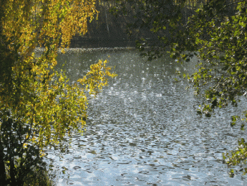 Виктор Шамонин-Версенев СТИХИ И СКАЗКИ - 3836.gif