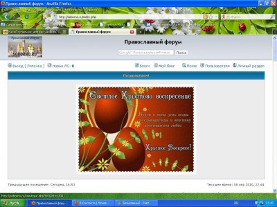 Включаю компьютер и... - ромашки.JPG