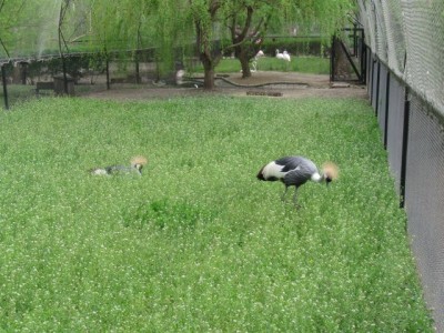 Зоопарк - IMG_5843.jpg