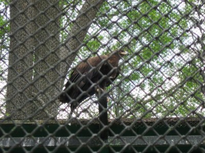 Зоопарк - IMG_5859.jpg