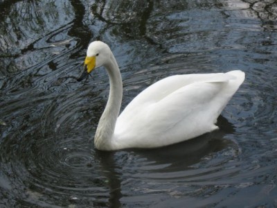 Зоопарк - IMG_5869.jpg