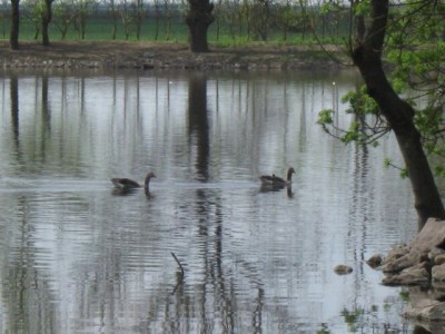 Зоопарк - IMG_5882.jpg