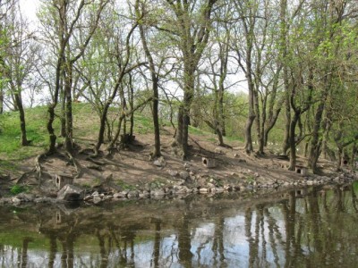 Зоопарк - IMG_5881.jpg