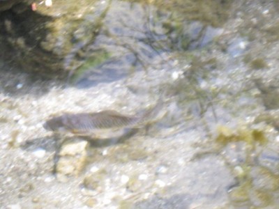 Зоопарк - IMG_5884.jpg