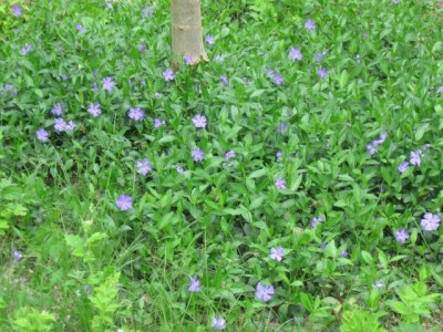 Зоопарк - IMG_5861.jpg