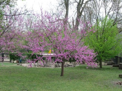 Зоопарк - IMG_5844.jpg