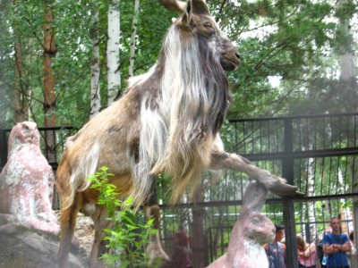 Зоопарк - фотографии с цифровика 018.jpg