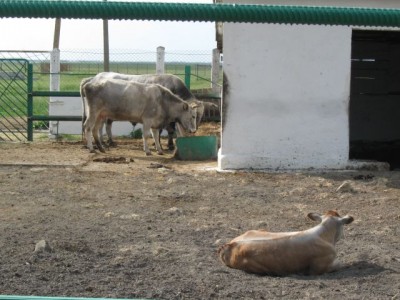 Зоопарк - IMG_5912.jpg