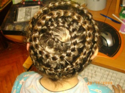 Улитка, сверху.