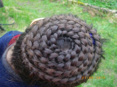 Заплетаем косички - IMGP3581.JPG