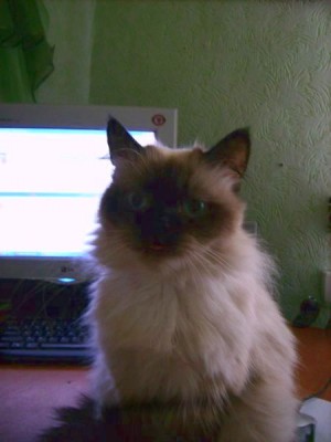 А это сегодня.