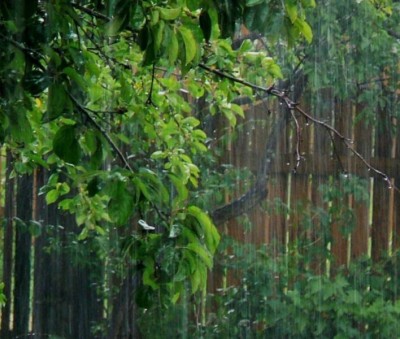 Каждая погода - благодать... - летний дождь.jpg