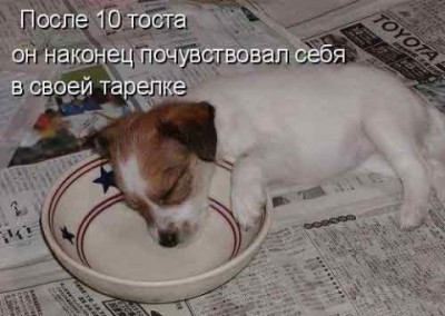 Они такие забавные смешные фото и видео  - big 2.jpg