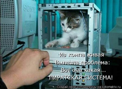 Они такие забавные смешные фото и видео  - 1250687144_1249724994_s3img_4987759_30288_1.jpg