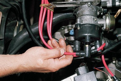 красненькие это они