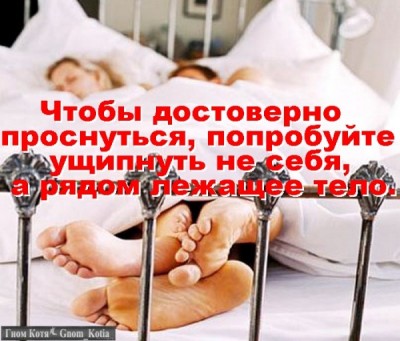 Трям. Здравствуйте. - 4090.jpg