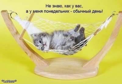 Трям. Здравствуйте. - 12ba1d46f309abb1a578c088bf95c7dd_dc923202bfd311f7342a5ebfe9f5bb78.jpeg