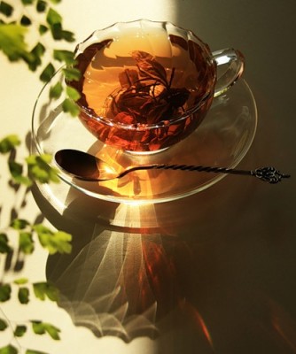 Трям. Здравствуйте. - 0_3b87e_ddcc1610_L.jpg