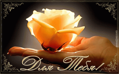 Трям. Здравствуйте. - 0_49630_f53af967_XL.gif