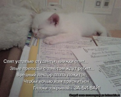 Флудильничек - 1232993689205084.jpg