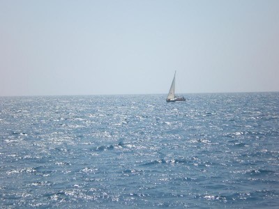 Сочи и окрестности 2010 - P1010106.JPG