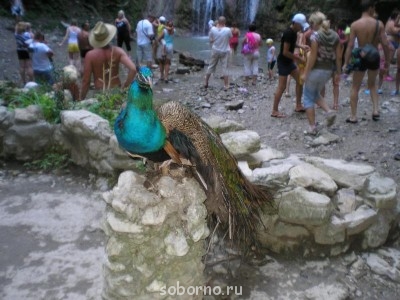 Сочи и окрестности 2010 - P8200161.JPG