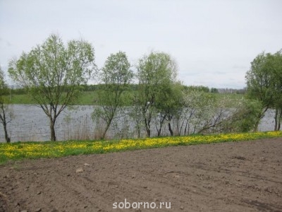 RU - рідна Україна - Ставок.jpg