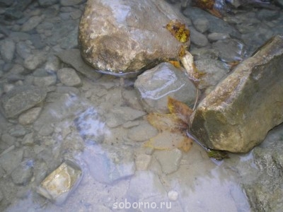 Сочи и окрестности 2010 - P8200213.JPG